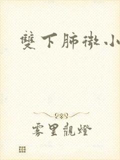 双下肺微小结节