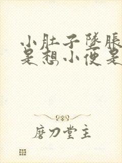 小肚子坠胀感老是想小便是怎么回事