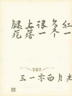 腿上很多红色的疙瘩一个一个痒痒的