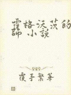 霍格沃茨的灰巫师 小说