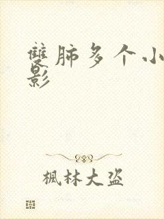 双肺多个小结节影