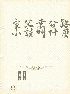 家父袁公路原著小说叫什么名字