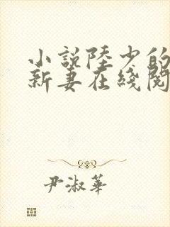 小说陆少的暖婚新妻在线阅读