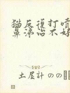 猫反复打喷嚏流鼻涕治不好