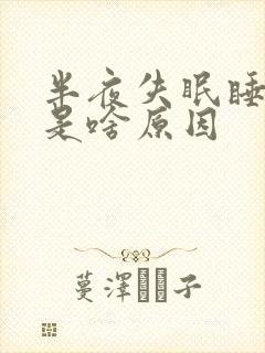 半夜失眠睡不着是啥原因