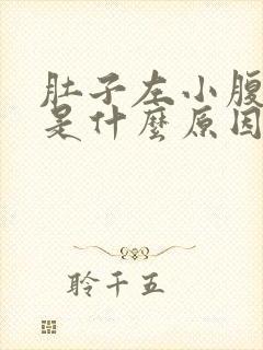 肚子左小腹疼痛是什么原因女性