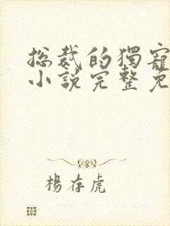 总裁的独宠甜妻小说完整免费