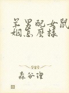 羊男配女鼠的婚姻怎么样