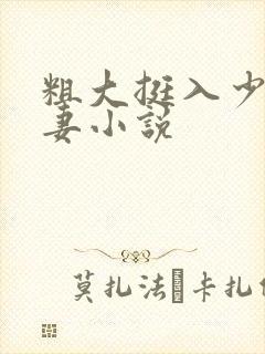 粗大挺入少妇人妻小说