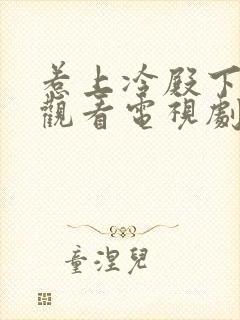 惹上冷殿下免费观看电视剧