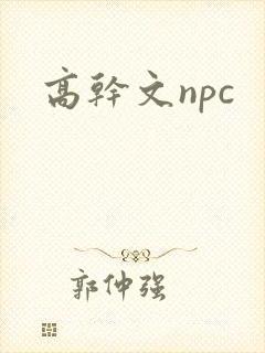 高干文npc