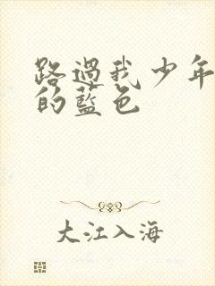 路过我少年时光的蓝色封面