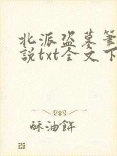 北派盗墓笔记小说txt全文下载