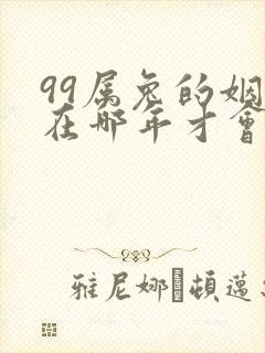 99属兔的姻缘在哪年才会成功封面