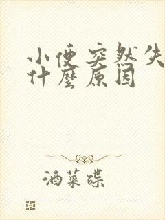 小便突然失禁是什么原因