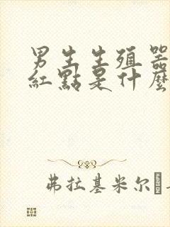 男生生殖器上长红点是什么引起的封面