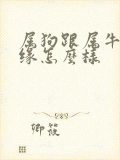 属狗跟属牛的姻缘怎么样