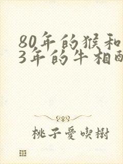 80年的猴和73年的牛相配婚姻如何封面