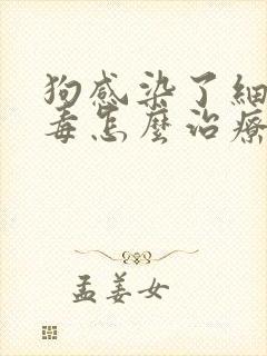 狗感染了细小病毒怎么治疗