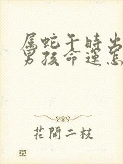 属蛇午时出生的男孩命运怎么样