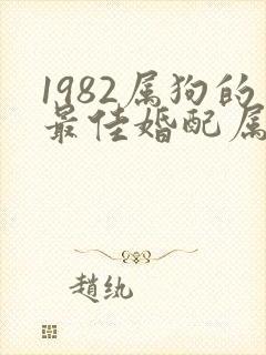 1982属狗的最佳婚配属相