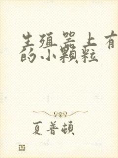 生殖器上有白色的小颗粒