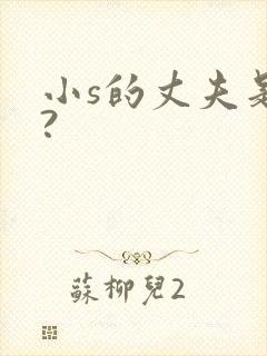 小s的丈夫是谁?封面
