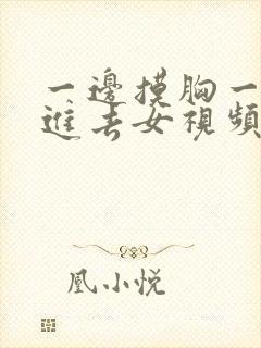 一边摸胸一边插进去女视频