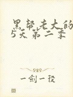 黑帮老大的365天第二季