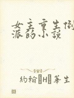 女主重生倒追反派的小说