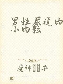 男性尿道内侧长小肉粒