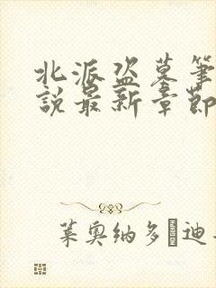 北派盗墓笔记小说最新章节封面