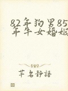 82年狗男85年牛女婚姻怎么样?