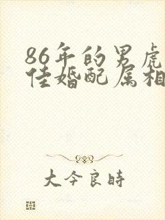 86年的男虎最佳婚配属相