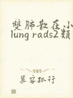 双肺散在小结节lung rads2类