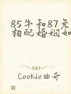 85牛和87兔相配婚姻如何