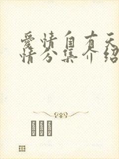 爱情自有天意剧情分集介绍封面