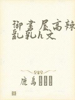 御书屋高辣h文乱乳h文