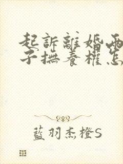 起诉离婚两个孩子抚养权怎么判