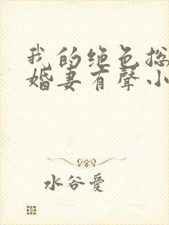 我的绝色总裁未婚妻有声小说