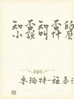 知否知否的原著小说叫什么名字