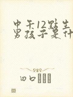 中午12点生的男孩子是什么命