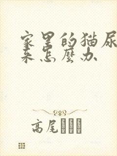 家里的猫尿不出来怎么办