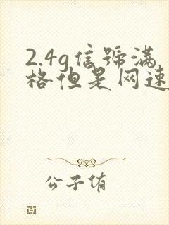 2.4g信号满格但是网速很慢