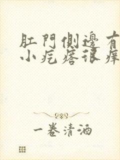 肛门侧边有一个小疙瘩很痒封面