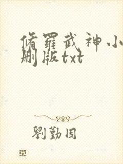 修罗武神小说未删版txt