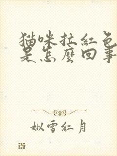 猫咪拉红色的尿是怎么回事