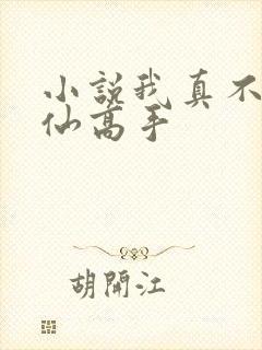 小说我真不是修仙高手