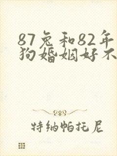 87兔和82年狗婚姻好不好