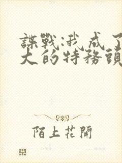 谍战:我成了最大的特务头子小说